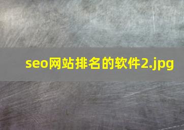 seo网站排名的软件