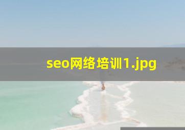 seo网络培训