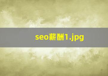 seo薪酬