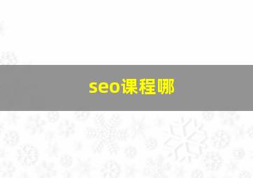 seo课程哪
