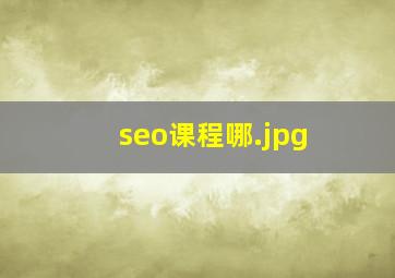 seo课程哪