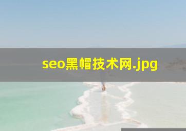 seo黑帽技术网