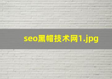 seo黑帽技术网