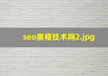 seo黑帽技术网