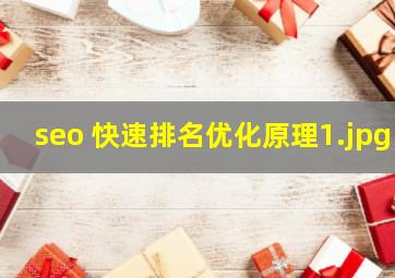seo 快速排名优化原理