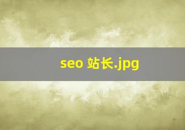 seo 站长