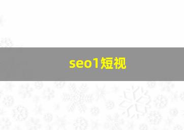 seo1短视