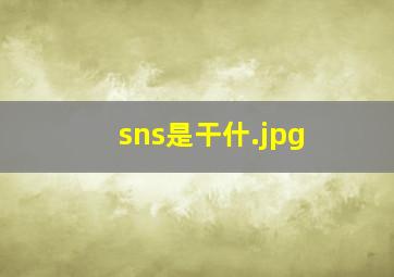 sns是干什