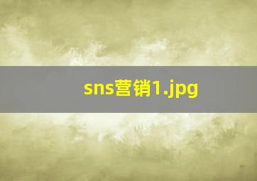 sns营销